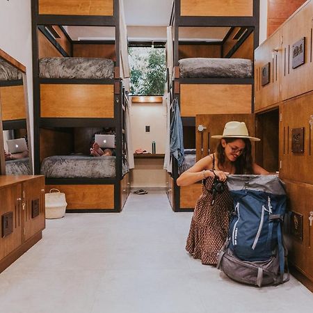 Hostal Barrio Vivo メリダ エクステリア 写真